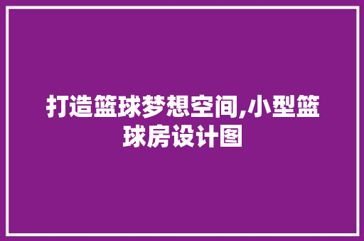 打造篮球梦想空间,小型篮球房设计图