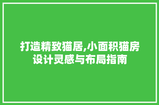 打造精致猫居,小面积猫房设计灵感与布局指南