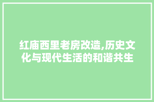 红庙西里老房改造,历史文化与现代生活的和谐共生