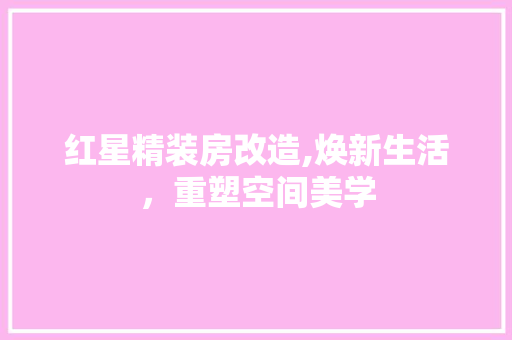 红星精装房改造,焕新生活，重塑空间美学