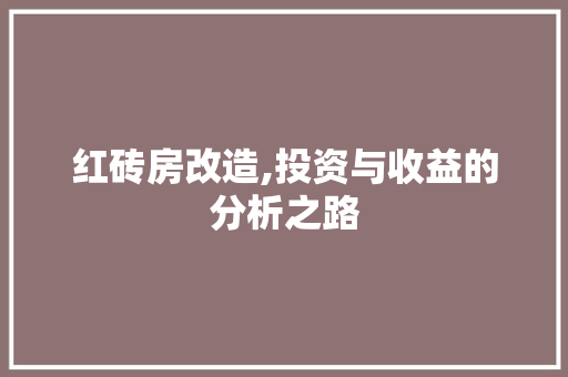 红砖房改造,投资与收益的分析之路