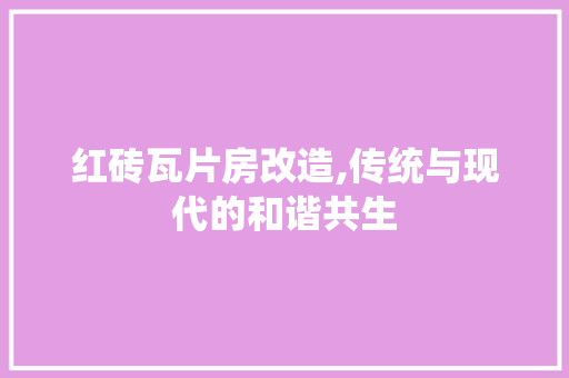 红砖瓦片房改造,传统与现代的和谐共生