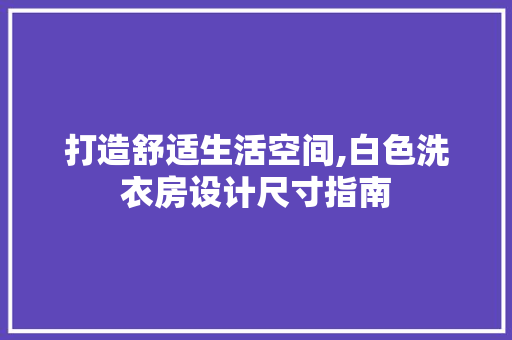 打造舒适生活空间,白色洗衣房设计尺寸指南