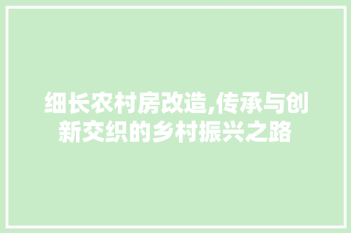 细长农村房改造,传承与创新交织的乡村振兴之路