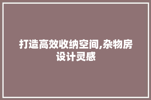 打造高效收纳空间,杂物房设计灵感