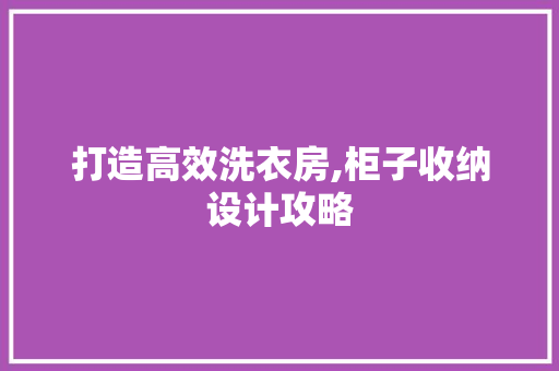 打造高效洗衣房,柜子收纳设计攻略