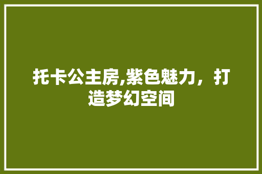 托卡公主房,紫色魅力，打造梦幻空间