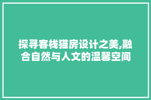 探寻客栈猫房设计之美,融合自然与人文的温馨空间