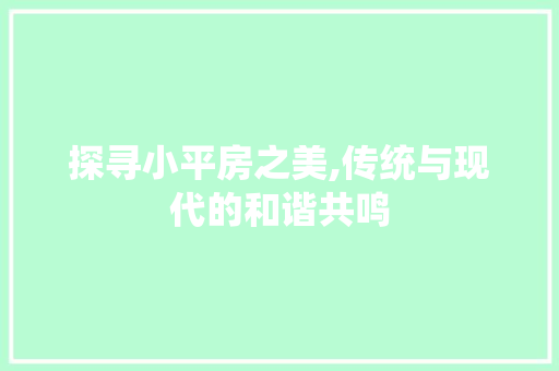 探寻小平房之美,传统与现代的和谐共鸣