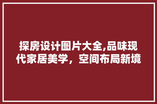 探房设计图片大全,品味现代家居美学，空间布局新境界