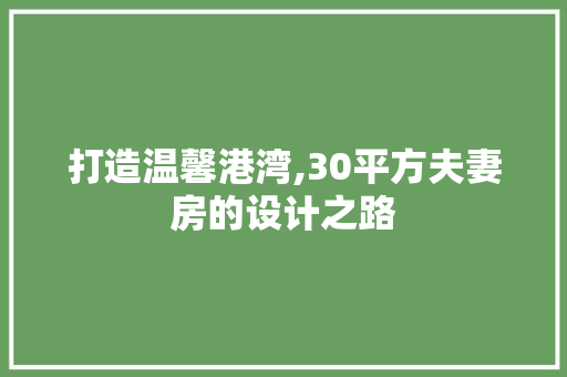 打造温馨港湾,30平方夫妻房的设计之路