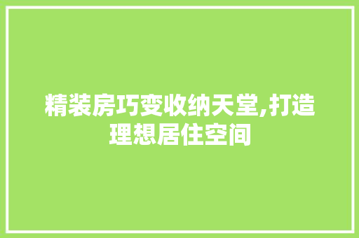 精装房巧变收纳天堂,打造理想居住空间