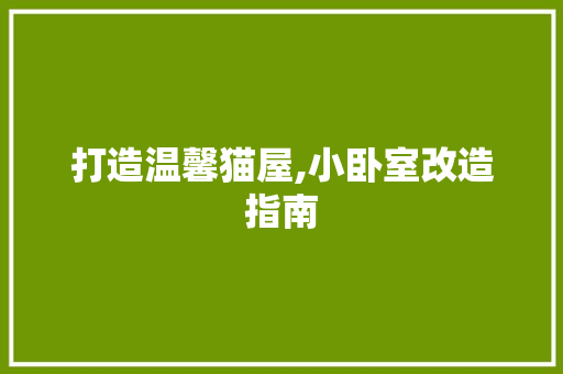 打造温馨猫屋,小卧室改造指南