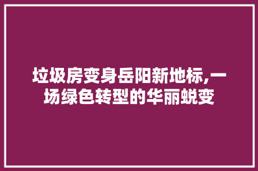垃圾房变身岳阳新地标,一场绿色转型的华丽蜕变