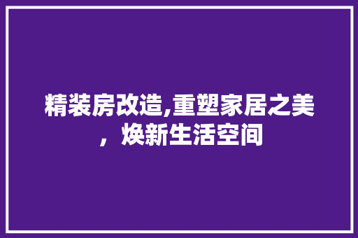 精装房改造,重塑家居之美，焕新生活空间