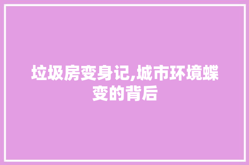 垃圾房变身记,城市环境蝶变的背后