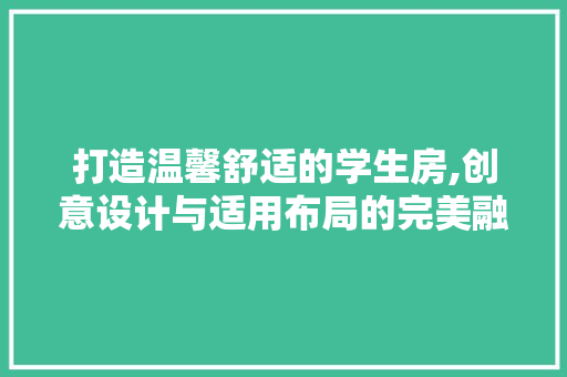 打造温馨舒适的学生房,创意设计与适用布局的完美融合