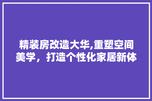 精装房改造大华,重塑空间美学，打造个性化家居新体验