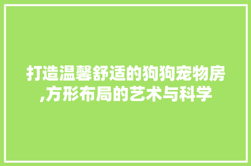 打造温馨舒适的狗狗宠物房,方形布局的艺术与科学