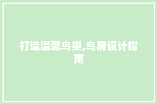 打造温馨鸟巢,鸟房设计指南