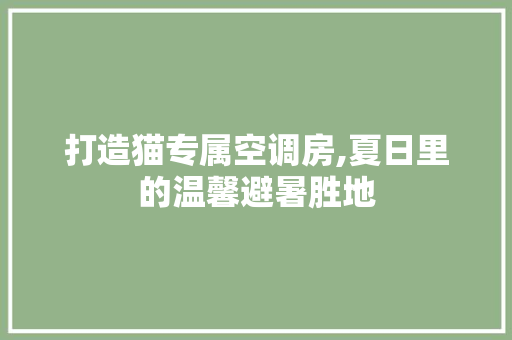 打造猫专属空调房,夏日里的温馨避暑胜地