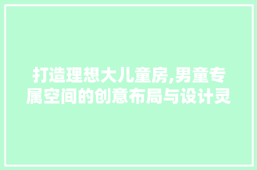 打造理想大儿童房,男童专属空间的创意布局与设计灵感