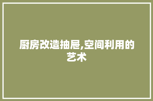 厨房改造抽屉,空间利用的艺术