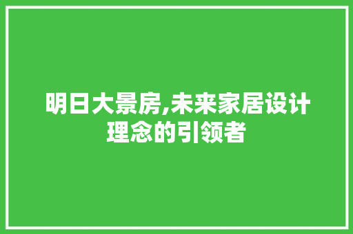 明日大景房,未来家居设计理念的引领者