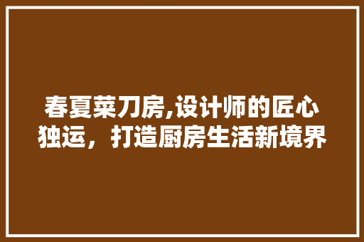 春夏菜刀房,设计师的匠心独运，打造厨房生活新境界