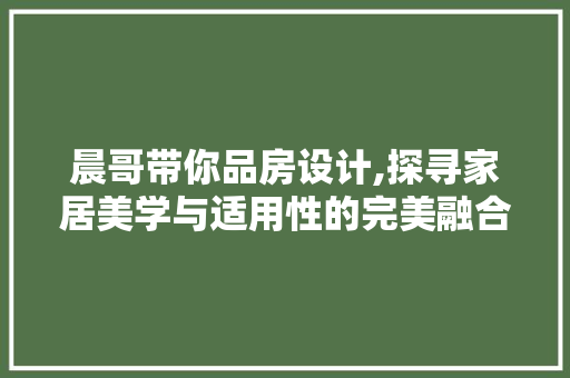 晨哥带你品房设计,探寻家居美学与适用性的完美融合