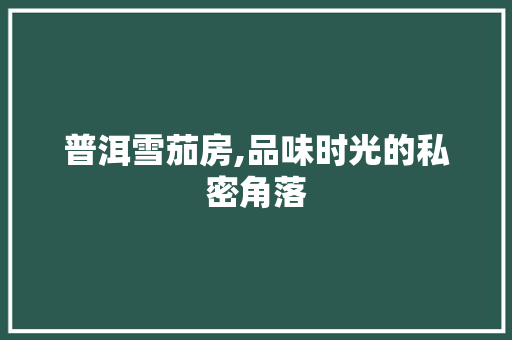 普洱雪茄房,品味时光的私密角落
