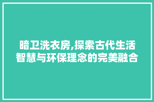 暗卫洗衣房,探索古代生活智慧与环保理念的完美融合