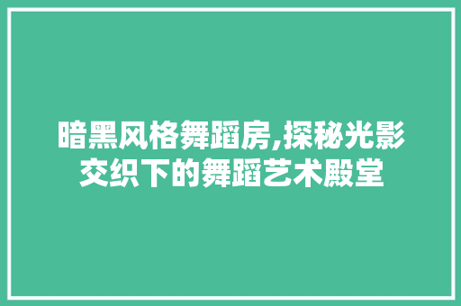 暗黑风格舞蹈房,探秘光影交织下的舞蹈艺术殿堂