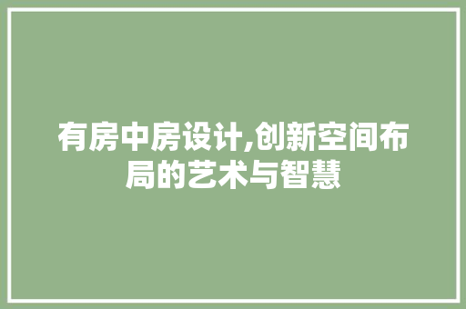 有房中房设计,创新空间布局的艺术与智慧