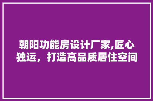 朝阳功能房设计厂家,匠心独运，打造高品质居住空间