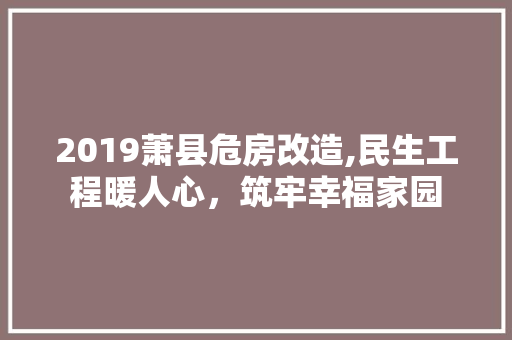 2019萧县危房改造,民生工程暖人心，筑牢幸福家园