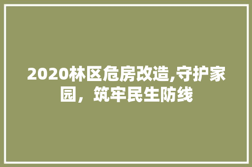 2020林区危房改造,守护家园，筑牢民生防线