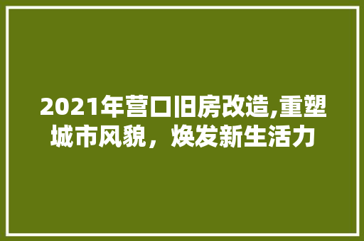 2021年营口旧房改造,重塑城市风貌，焕发新生活力