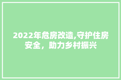 2022年危房改造,守护住房安全，助力乡村振兴
