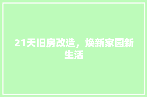21天旧房改造，焕新家园新生活