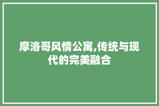 摩洛哥风情公寓,传统与现代的完美融合