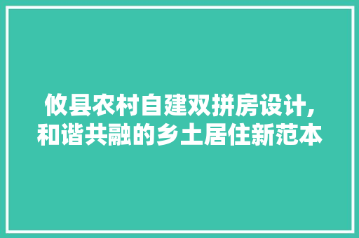 攸县农村自建双拼房设计,和谐共融的乡土居住新范本