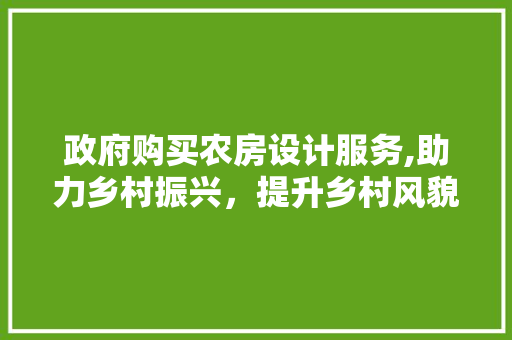 政府购买农房设计服务,助力乡村振兴，提升乡村风貌
