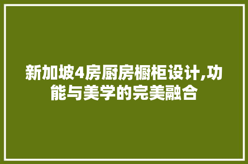 新加坡4房厨房橱柜设计,功能与美学的完美融合
