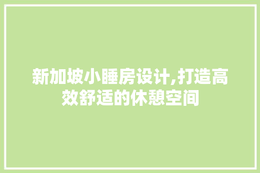 新加坡小睡房设计,打造高效舒适的休憩空间
