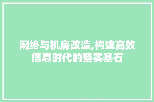 网络与机房改造,构建高效信息时代的坚实基石