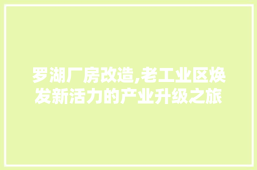 罗湖厂房改造,老工业区焕发新活力的产业升级之旅
