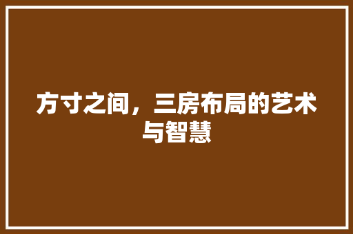 方寸之间，三房布局的艺术与智慧