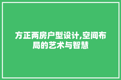 方正两房户型设计,空间布局的艺术与智慧