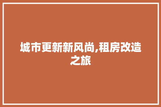 城市更新新风尚,租房改造之旅